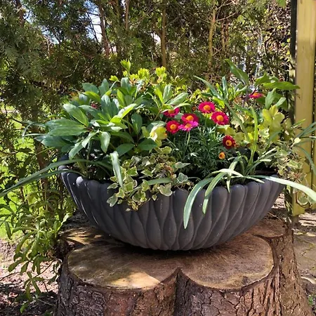 De Lijster Casa de Férias *