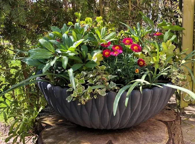 De Lijster Nyaraló *